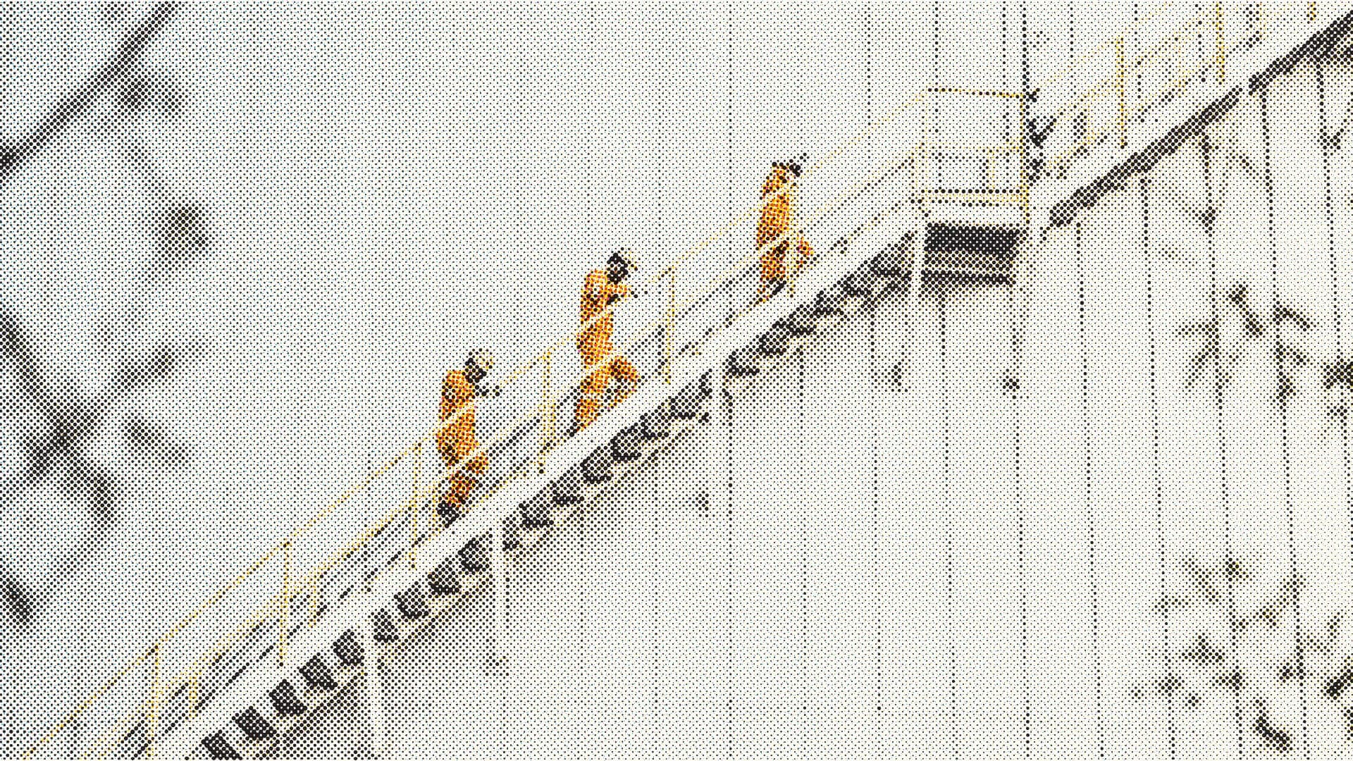 Halftone image of technicians working on an aircraft